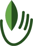 Naturheilpraxis Anne Bookhold Logo